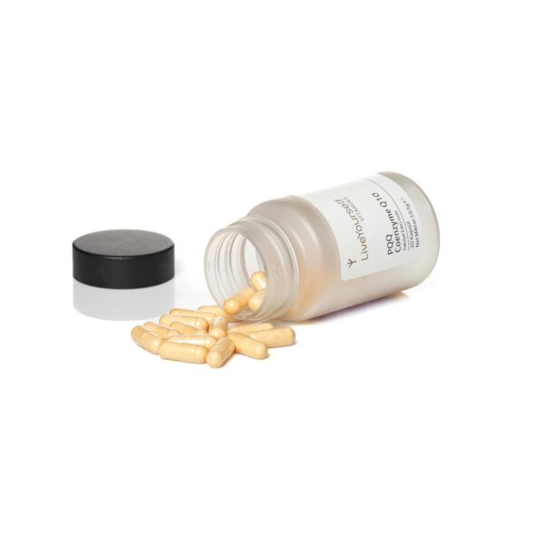 PQQ Coenzyme Q10 - Image 2