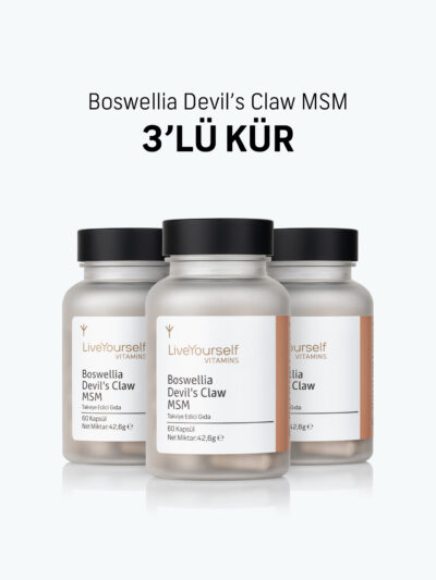 Boswellia Devil’s Claw MSM 3’lü Kür