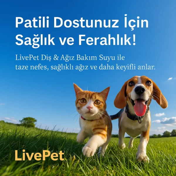 Mavi gökyüzü ve yeşil çim üzerinde koşan kedi ve köpek – LivePet Diş & Ağız Bakım Suyu için lifestyle reklam görseli, ‘Patili Dostunuz İçin Sağlık ve Ferahlık’ başlığı ile.