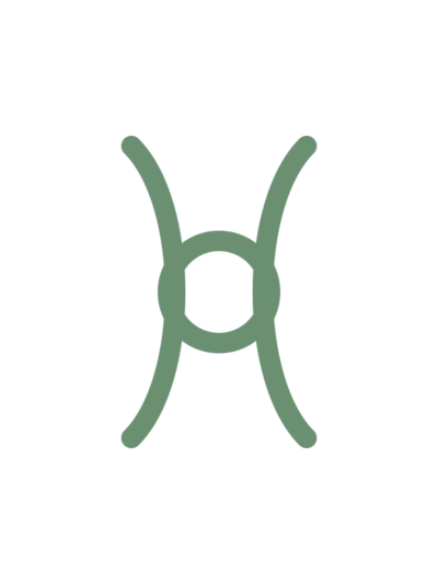 eklem